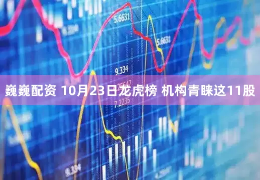 巍巍配资 10月23日龙虎榜 机构青睐这11股
