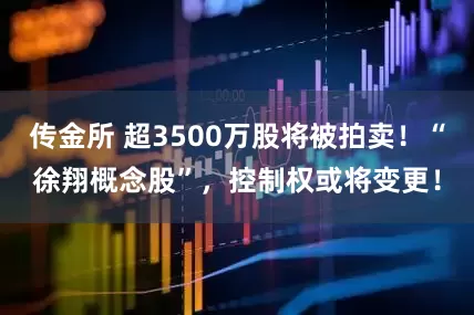 传金所 超3500万股将被拍卖！“徐翔概念股”，控制权或将变更！